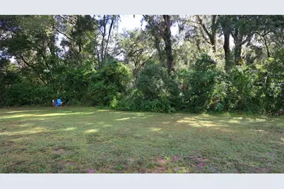 13777 SE 44th Avenue, Summerfield, FL 34491 - Photo 32