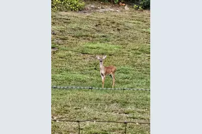 8735 Cr 631A, Bushnell, FL 33513 - Photo 16