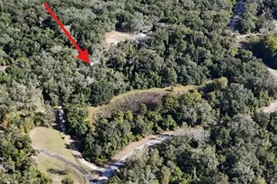 8735 Cr 631A, Bushnell, FL 33513 - Photo 6