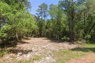 19 Guava Pass Ln, Ocklawaha, FL 32179 - Photo 1