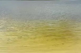 35 SE Chinica Dr, Summerfield, FL 34491 - Photo 50