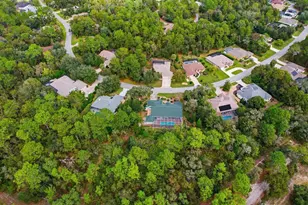 24 Livingstone Daisy Ct, Homosassa, FL 34446 - Photo 48