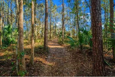 3259 NE 102nd Avenue Road, Silver Springs, FL 34488 - Photo 82