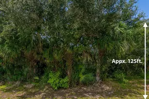 17182 Urban Ave, Port Charlotte, FL 33954 - Photo 1