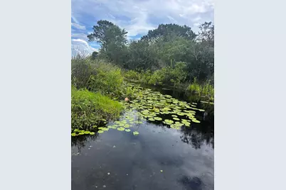15080 NE 242nd Avenue, Salt Springs, FL 32134 - Photo 8
