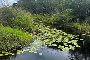15080 NE 242nd Ave, Salt Springs, FL 32134 - Photo 8