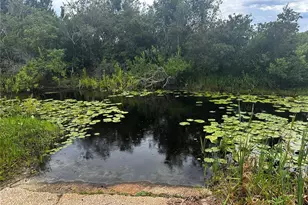 15080 NE 242nd Ave, Salt Springs, FL 32134 - Photo 4