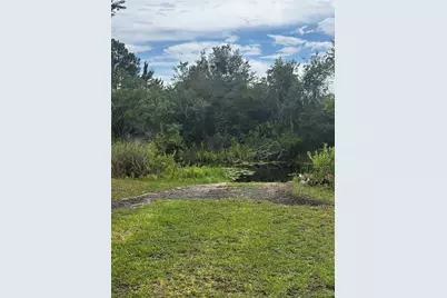 15080 NE 242nd Avenue, Salt Springs, FL 32134 - Photo 2
