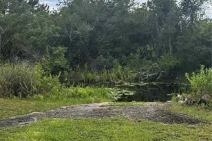 15080 NE 242nd Ave, Salt Springs, FL 32134 - Photo 2