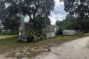 15080 NE 242nd Ave, Salt Springs, FL 32134 - Photo 6