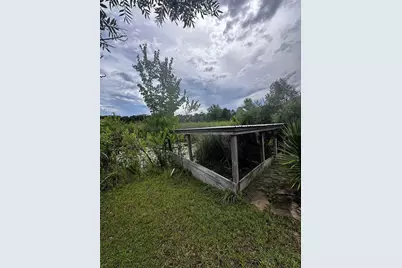 15080 NE 242nd Avenue, Salt Springs, FL 32134 - Photo 4