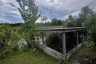15080 NE 242nd Ave, Salt Springs, FL 32134 - Photo 4