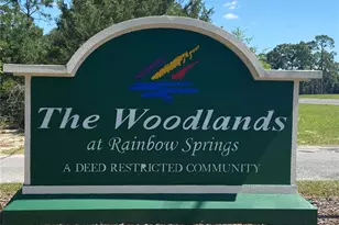 8780 SW 209th Ct Rd, Dunnellon, FL 34431 - Photo 22