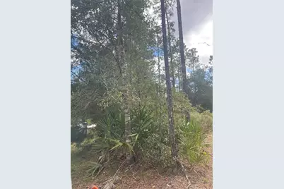 6712 W Macopin Lane, Crystal River, FL 34429 - Photo 2