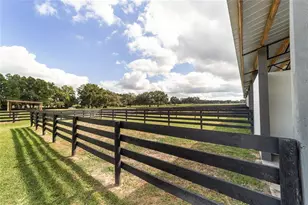12943 County Rd 245 E, Oxford, FL 34484 - Photo 78