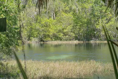 8519 SW 197th Court Road, Dunnellon, FL 34432 - Photo 42