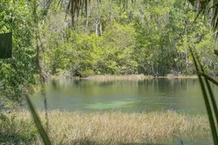 8519 SW 197th Court Rd, Dunnellon, FL 34432 - Photo 42