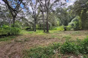 13767 NE 47th Ave, Anthony, FL 32617 - Photo 4