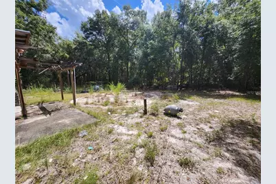 13767 NE 47th Avenue, Anthony, FL 32617 - Photo 6