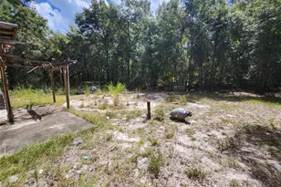 13767 NE 47th Ave, Anthony, FL 32617 - Photo 6