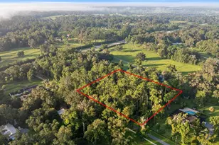 Tbd SW 17th Ave, Ocala, FL 34471 - Photo 1