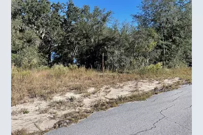 Lots 444, 445 SW Shorewood Drive, Dunnellon, FL 34431 - Photo 4