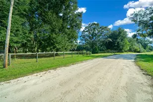 399 NE 155 Pl, Citra, FL 32113 - Photo 52