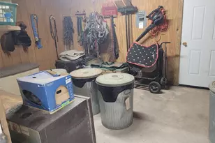 399 NE 155 Pl, Citra, FL 32113 - Photo 12