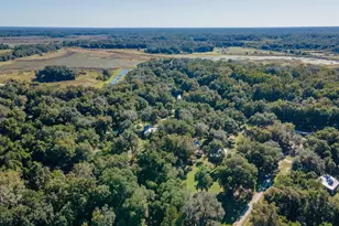 15429 NE 38th Ct, Citra, FL 32113 - Photo 46