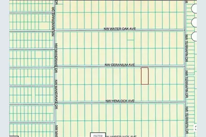 Lot 13 NW Geranium Avenue, Dunnellon, FL 34431 - Photo 6