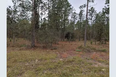 Lot 13 NW Geranium Avenue, Dunnellon, FL 34431 - Photo 1
