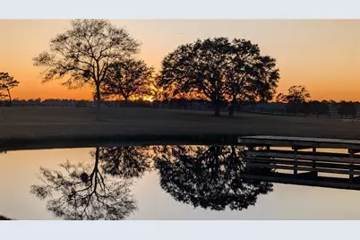 18800 SE 47th Place, Morriston, FL 32668 - Photo 30