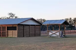 18800 SE 47 Pl, Morriston, FL 32668 - Photo 12