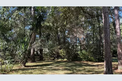 436 NE 61st Terrace, Ocala, FL 34470 - Photo 34