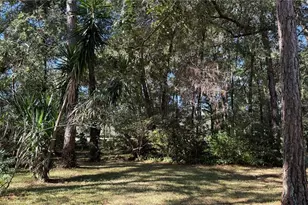 436 NE 61st Terrace, Ocala, FL 34470 - Photo 34