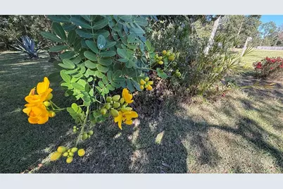 436 NE 61st Terrace, Ocala, FL 34470 - Photo 36