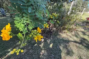 436 NE 61st Terrace, Ocala, FL 34470 - Photo 36