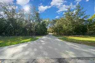 252 Malauka Rd, Ocklawaha, FL 32179 - Photo 6
