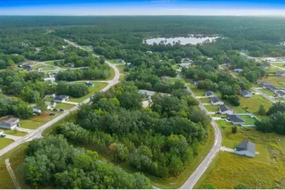 252 Malauka Road, Ocklawaha, FL 32179 - Photo 74