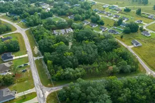 252 Malauka Rd, Ocklawaha, FL 32179 - Photo 66