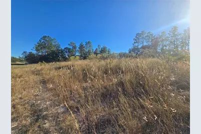 9388 N Old Mill Way, Citrus Springs, FL 34433 - Photo 8