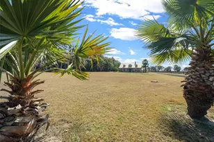 2198 W Hwy 329, Citra, FL 32113 - Photo 6
