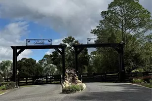 41526 Saddle Ridge Ln, Weirsdale, FL 32195 - Photo 28