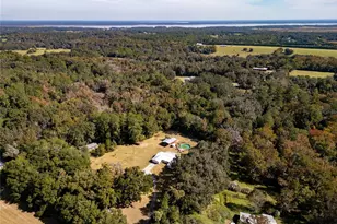 21133 NW 75th Ave, Micanopy, FL 32667 - Photo 12