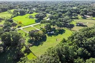 9812 SW 74th Ave, Ocala, FL 34476 - Photo 56