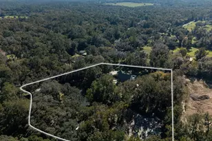 950 SW 43rd Pl, Ocala, FL 34471 - Photo 42