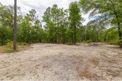10111 NE 114th Street, Archer, FL 32618 - Photo 6