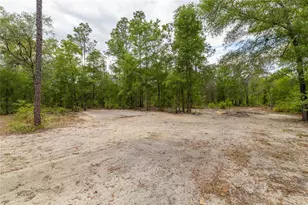 10111 NE 114 St, Archer, FL 32618 - Photo 6