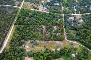 10111 NE 114 St, Archer, FL 32618 - Photo 6