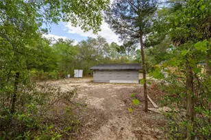 10111 NE 114 St, Archer, FL 32618 - Photo 14